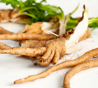 Chicory root inulin ingredient used in SlimTide